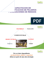 Capacitacion de Peligros y Riesgos