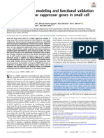 CRISPR-mediated Modeling and Functional Validation of Candidate Tumor Suppressor Genes in Small Cell Lung Cancer