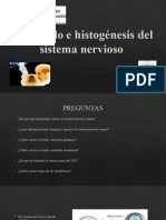 Desarrollo e Histogénesis Del Sistema Nervioso YA