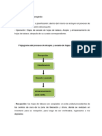 Actividades Del Proyecto 2023