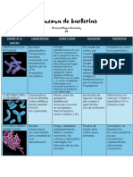 Esquema de Bacterias.