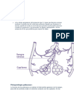 Pulmones