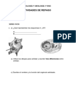 1ºeso-Actividades-Repaso Biología y Geología