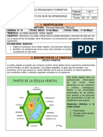 Identificacion: Sexto Ciencias Naturales: Biología 15: 14 de Mayo 17 de Mayo