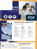 Proceso Manual PP 2024