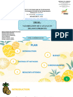 Protocole de Projet: Theme: Valorisation de L'Ananas Et Des Sous-Produits