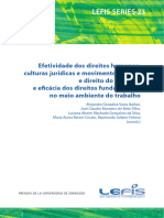 Vol 23 Efetividade Dos Dir Humanos e Dir Do Trabalho e Eficacia