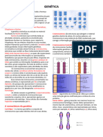 Conceitos Básicos Da Genética