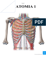 Anatomia Completa Por Sebastian Toledo.