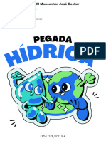 Pegada Hídrica