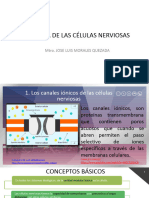 Fisiologia de Las Celulas Nerviosas