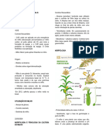 Agricultura Iv