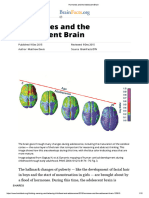 Hormones and The Adolescent Brain