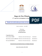 PFE Derivation Provisoire - Huda Ait Gragai