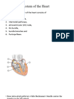 Conductive Systemof The Heart