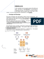 LECTURE 10 Inheritance