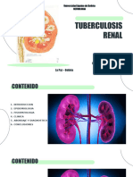 Tuberculosis Renal 1