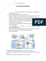 Patologia Apendicular