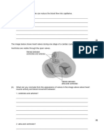 PPQs Cardiac Cycle