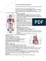 N° 2-El Aparato Circulatorio
