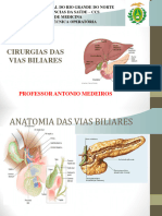 Cirurgias Das Vias Biliares CORRETA