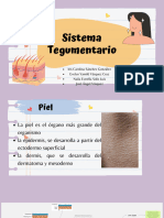 Sistema Tegumentario.