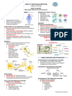 Neuro Handout 1