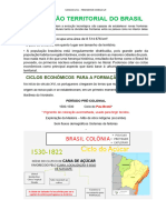 Ciclos Economicos - Forma - o Territorial Do Brasil