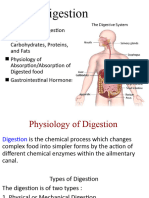 Digestion WPS Office