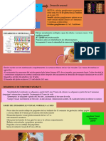 Resumen Desarrollo Binocular y Monocular