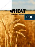 Wheat: From Seed To Sustenance