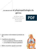 Diu Sport Anatomie Et Physiopathologie Du Genou - DR Cantin