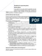 Análisis Del RNA Estudio de La Expresión Génica