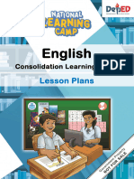 NLC English 9 Consolidation LP v.1