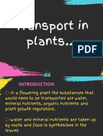 Transport in Plants Marathon