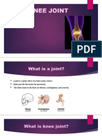 Knee Joint