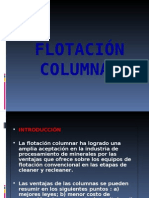 Flotacion Columnar