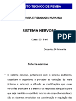 Ficha 7 Sistema Nervoso