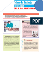 Introduccion A La Anatomia