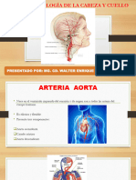 Clase de Angiologia