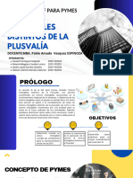 Sección 18 Niif para Pymes