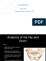 Hip & Groin