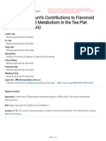 GABA and Its Shunts Contributions To Flavonoid Bi