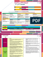 Primaria (5° y 6° Grado) ° Contenidos y PDA
