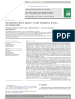 Plant Phenolics