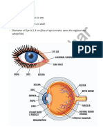 Human Eye and Colourful - Docx2