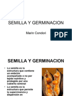 Unidad 6. Semilla y Germinacion