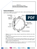 Human Eye and Colorful World