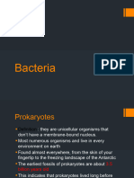 Bacteria