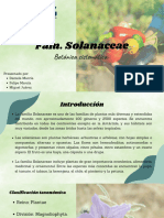 Presentación Plantas Natural Verde y Negro